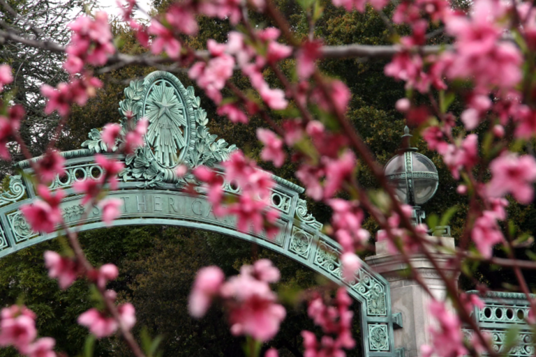 Sather Gate with Pink Flowers