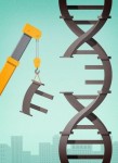 The Advancement of CRISPR in the News